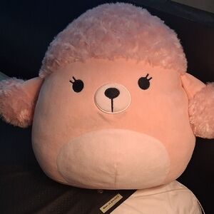 Cute Pink Squishmallow